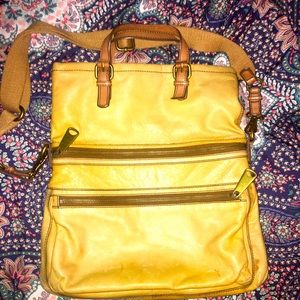 Fossil explorer tote